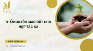 Thẩm quyền giao đất cho hợp tác xã