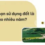 Thời hạn sử dụng đất là bao nhiêu năm?