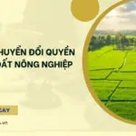 Thủ tục chuyển đổi quyền sử dụng đất nông nghiệp