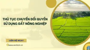 Thủ tục chuyển đổi quyền sử dụng đất nông nghiệp