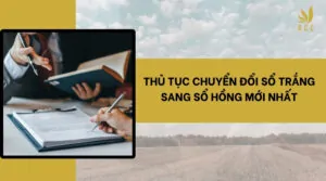 Thủ tục chuyển đổi sổ trắng sang sổ hồng mới nhất