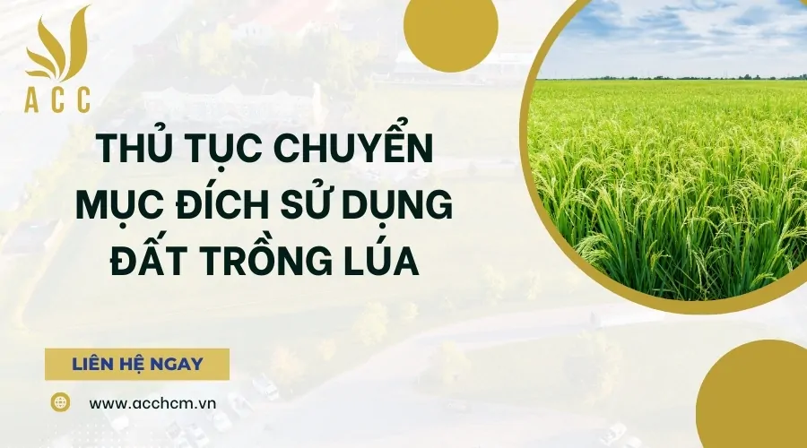 Thủ tục chuyển mục đích sử dụng đất trồng lúa