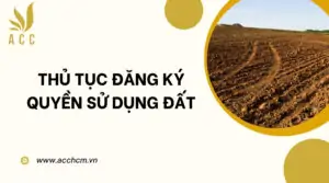 Thủ tục đăng ký quyền sử dụng đất