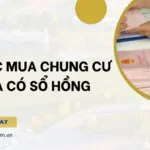 Thủ tục mua chung cư chưa có sổ hồng