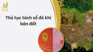 Thủ tục tách sổ đỏ khi bán đất