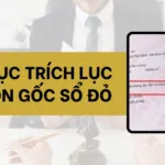 Thủ tục trích lục nguồn gốc sổ đỏ