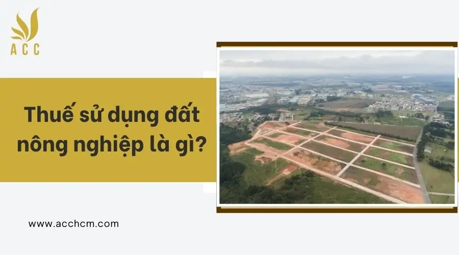 Thuế sử dụng đất nông nghiệp là gì?