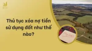 Thủ tục xóa nợ tiền sử dụng đất như thế nào?