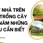 Xây nhà trên đất trồng cây lâu năm_ những điều cần biết