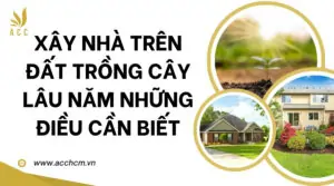 Xây nhà trên đất trồng cây lâu năm_ những điều cần biết