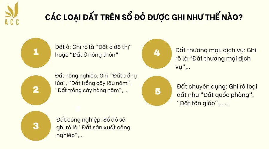 Các loại đất trên sổ đỏ được ghi như thế nào 