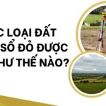 Các loại đất trên sổ đỏ được ghi như thế nào