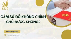 Cầm sổ đỏ không chính chủ được không