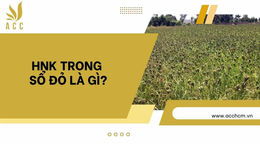 HNK trong sổ đỏ là gì