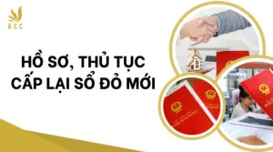 Hồ sơ, thủ tục cấp lại sổ đỏ mới