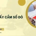 Mẫu giấy cầm sổ đỏ