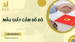 Mẫu giấy cầm sổ đỏ