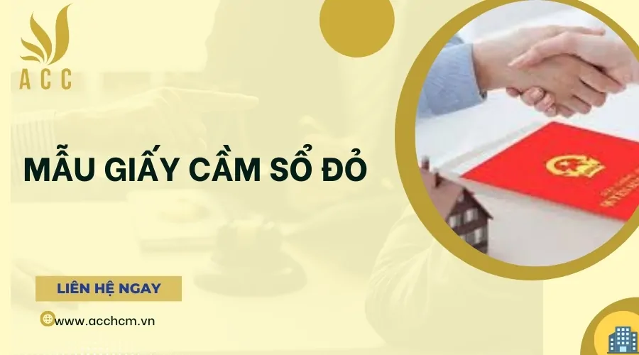 Mẫu giấy cầm sổ đỏ