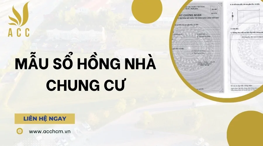 Mẫu sổ hồng nhà chung cư