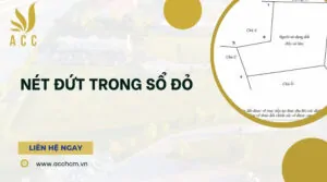 Nét đứt trong sổ đỏ