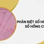 Phân biệt sổ hồng riêng sổ hồng chung