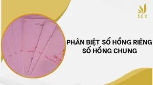 Phân biệt sổ hồng riêng sổ hồng chung