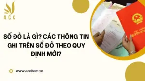 Sổ đỏ là gì Các thông tin ghi trên sổ đỏ theo quy định mới