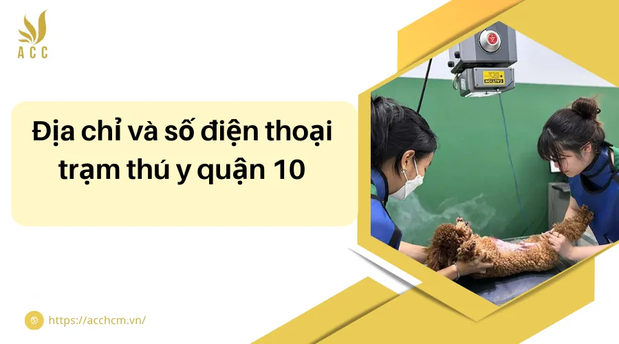 Địa chỉ và số điện thoại trạm thú y quận 10