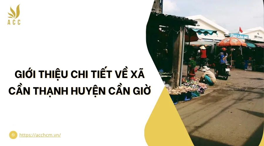 Giới thiệu chi tiết về xã Cần Thạnh huyện Cần Giờ