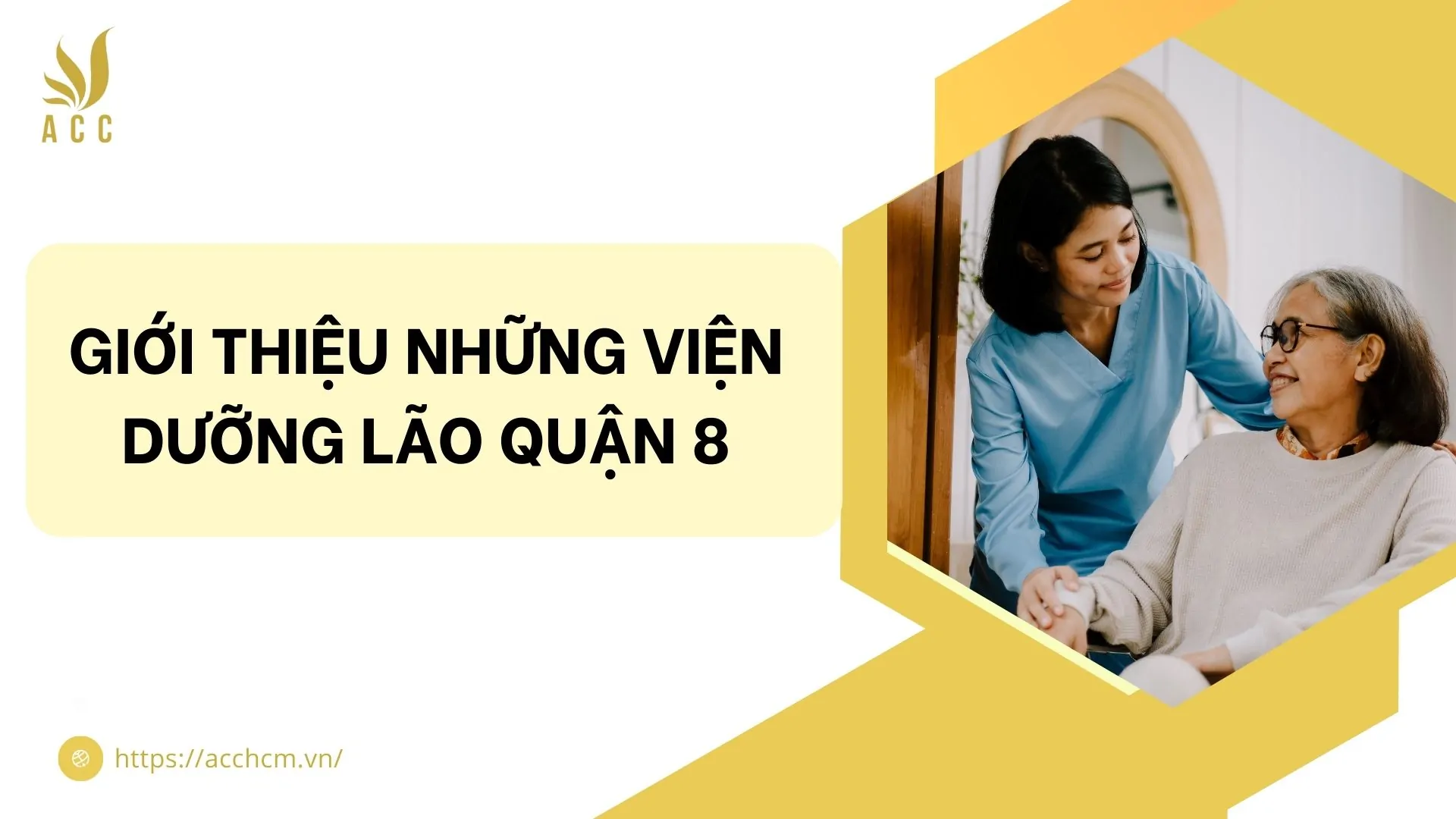Giới thiệu những viện dưỡng lão quận 8
