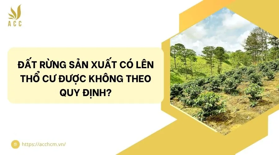 Đất rừng sản xuất có lên thổ cư được không theo quy định?.jpg