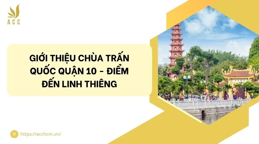Giới thiệu chùa Trấn Quốc quận 10 - điểm đến linh thiêng.jpg