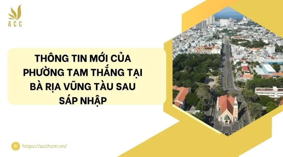 Th&ocirc;ng tin mới của phường Tam Thắng tại B&agrave; Rịa Vũng T&agrave;u sau s&aacute;p nhập.jpg