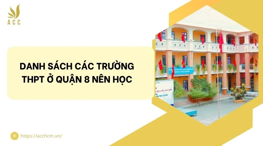 Danh sách các trường THPT ở quận 8 nên học.jpg