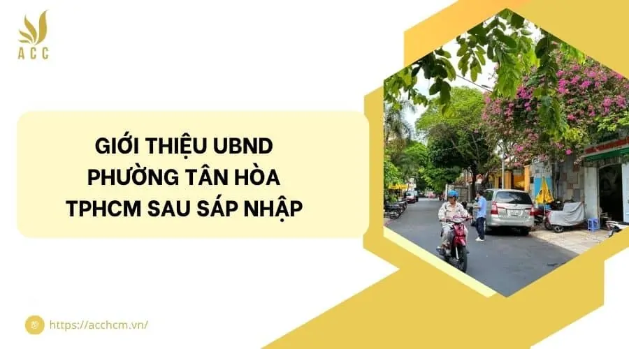 Giới thiệu UBND phường Tân Hòa TPHCM sau sáp nhập
