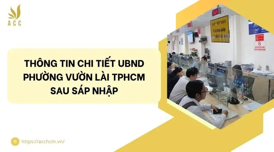 Th&ocirc;ng tin chi tiết UBND phường Vườn L&agrave;i TPHCM sau s&aacute;p nhập.jpg