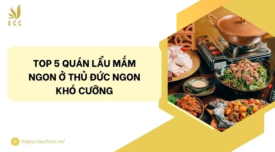 Top 5 quán lẩu mắm ngon ở Thủ Đức ngon khó cưỡng.jpg