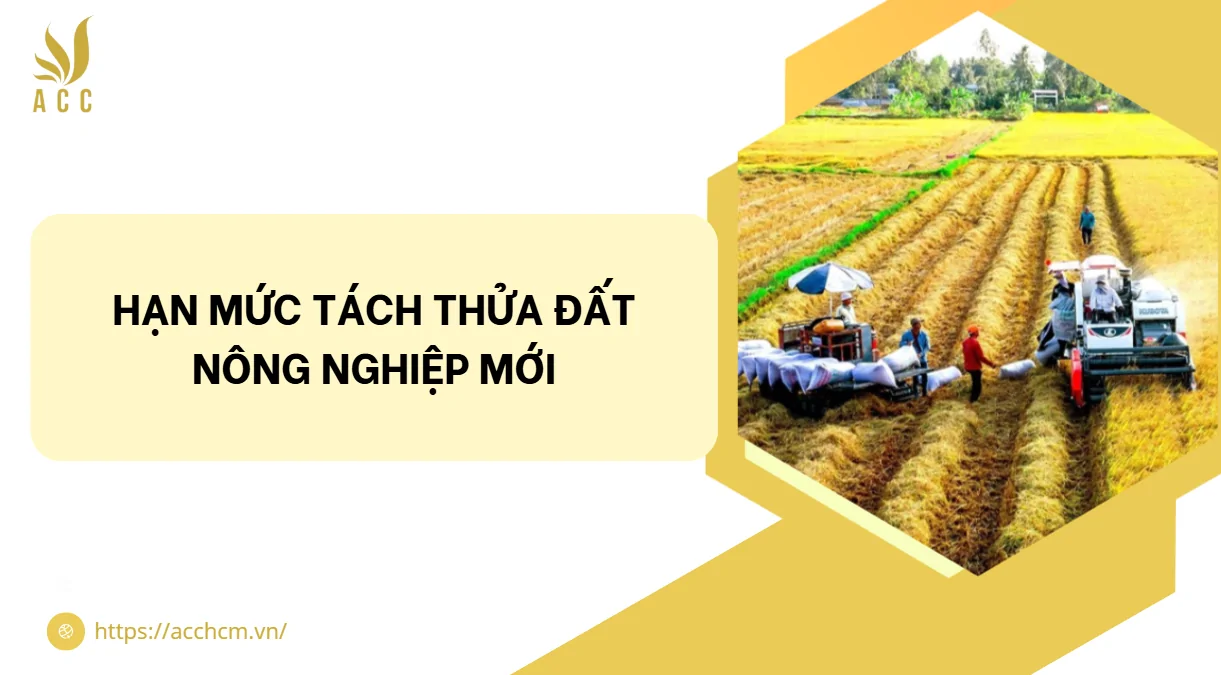 Hạn mức tách thửa đất nông nghiệp mới