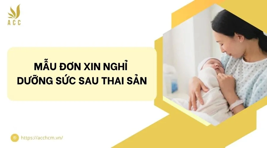 Mẫu đơn xin nghỉ dưỡng sức sau thai sản