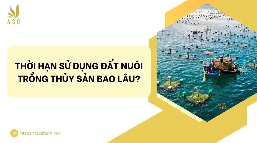 Thời hạn sử dụng đất nuôi trồng thủy sản bao lâu?