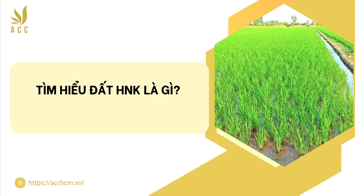 T&igrave;m hiểu đất HNK l&agrave; g&igrave;?