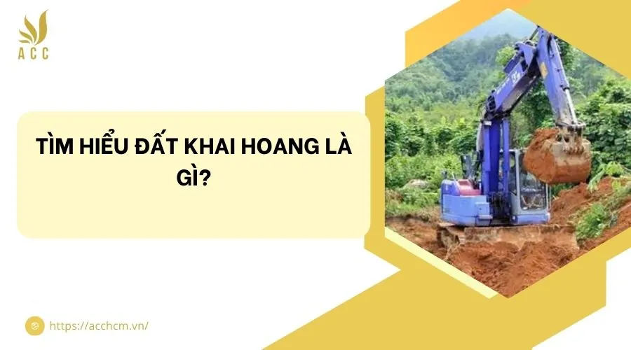 Tìm hiểu đất khai hoang là gì​?