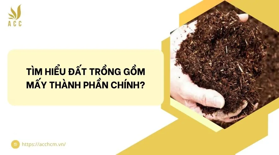 T&igrave;m hiểu đất trồng gồm mấy th&agrave;nh phần ch&iacute;nh?