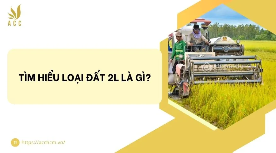 Tìm hiểu loại đất 2l là gì?
