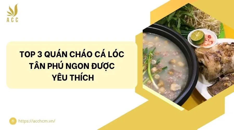 Top 3 quán cháo cá lóc Tân Phú ngon được yêu thích