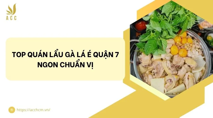 Top quán lẩu gà lá é quận 7 ngon chuẩn vị