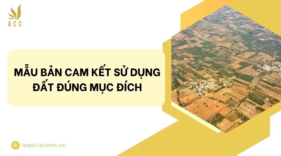 Mẫu bản cam kết sử dụng đất đúng mục đích