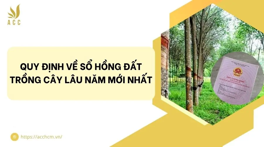 Quy định về sổ hồng đất trồng cây lâu năm mới nhất