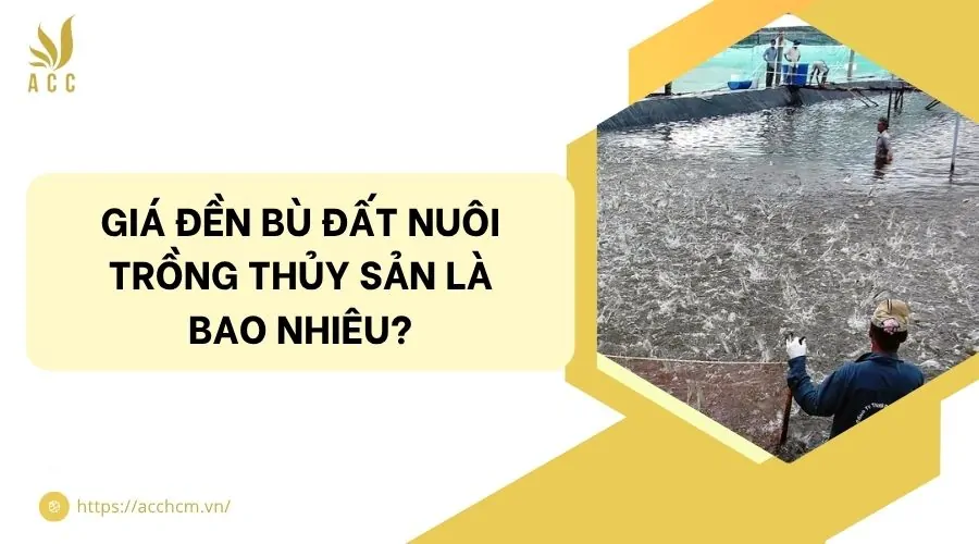Gi&aacute; đền b&ugrave; đất nu&ocirc;i trồng thủy sản l&agrave; bao nhi&ecirc;u?