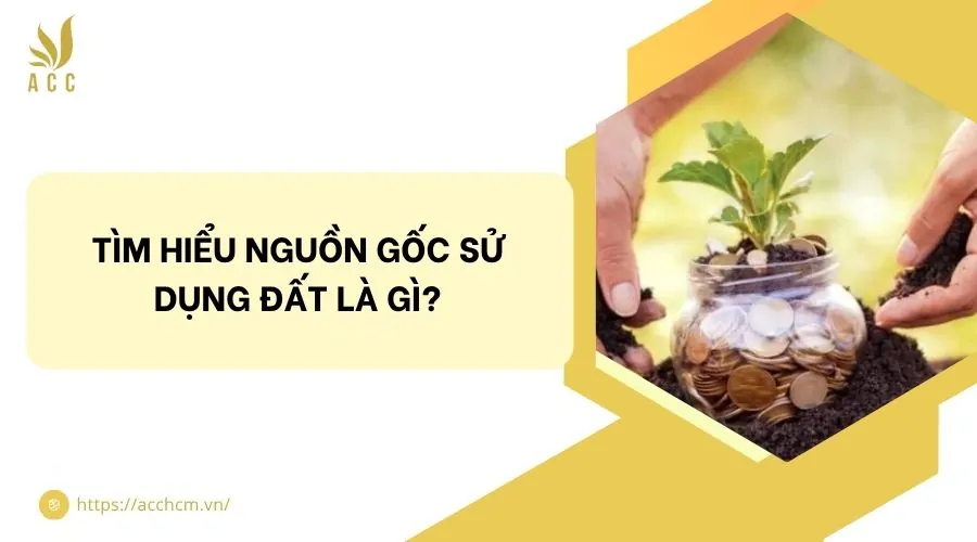Tìm hiểu nguồn gốc sử dụng đất là gì?